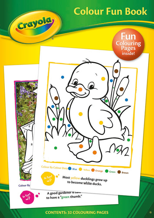 Crayola Colour Fun Activity Book