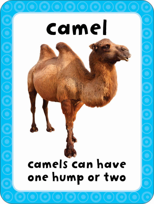 Get Set Go Flashcards: Animals