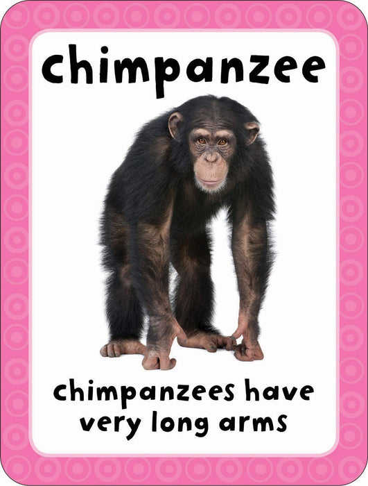 Get Set Go Flashcards: Animals