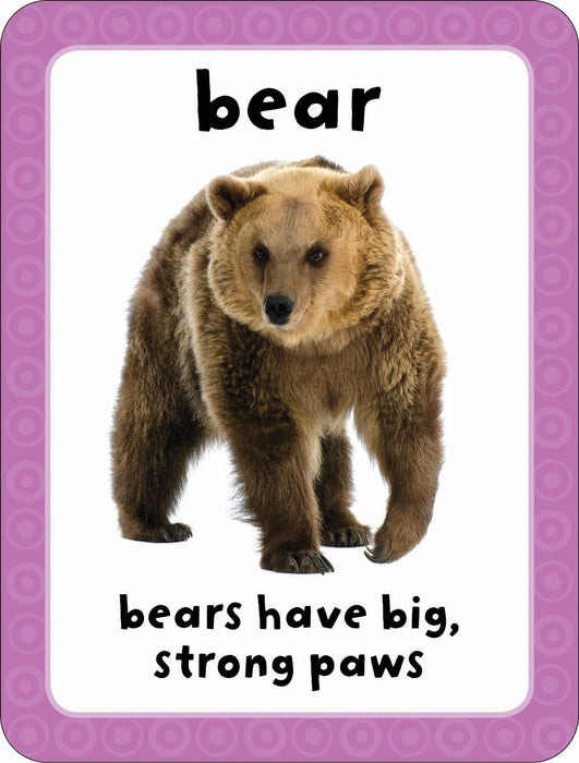 Get Set Go Flashcards: Animals