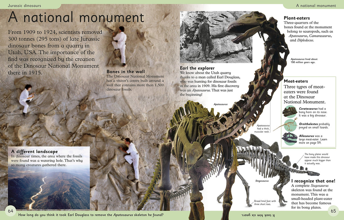First Dinosaur Encyclopedia: A First Reference Book for Children (DK First Reference)