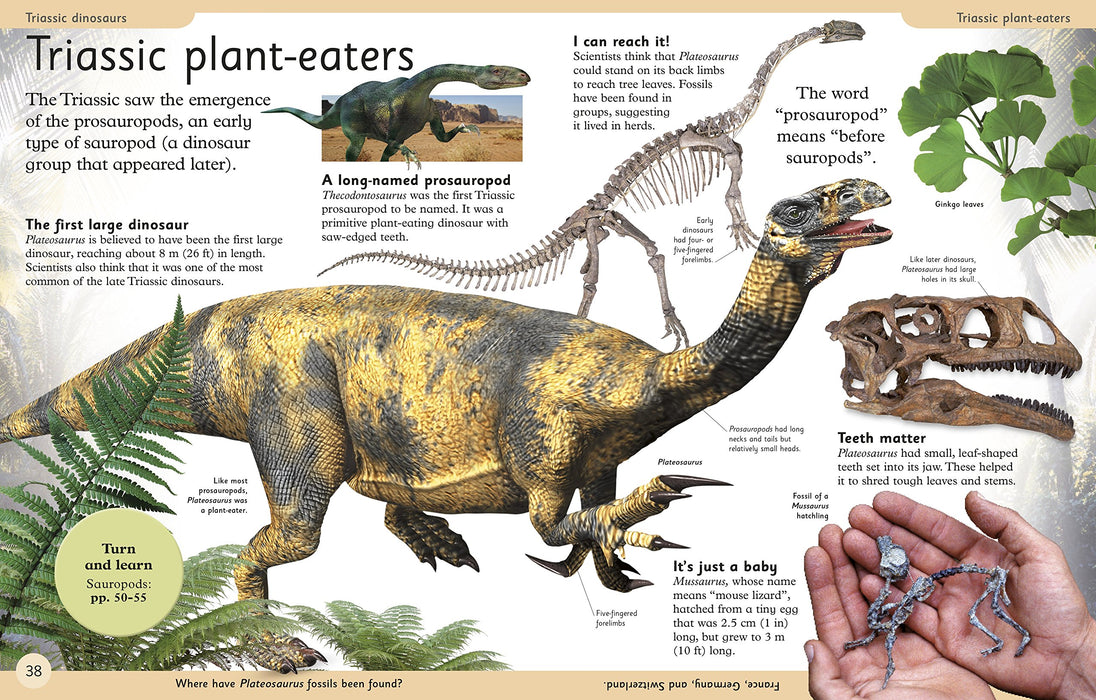First Dinosaur Encyclopedia: A First Reference Book for Children (DK First Reference)