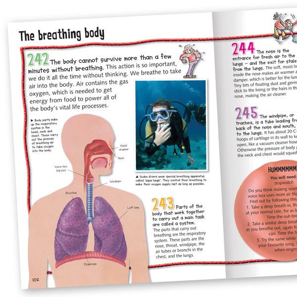 Miles Kelly Wild About Science Hardback Book