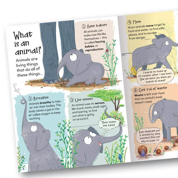 Miles Kelly Curious Questions & Answers About Animals Hardback Book