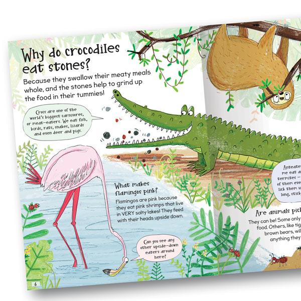 Miles Kelly Curious Questions & Answers About Animals Hardback Book