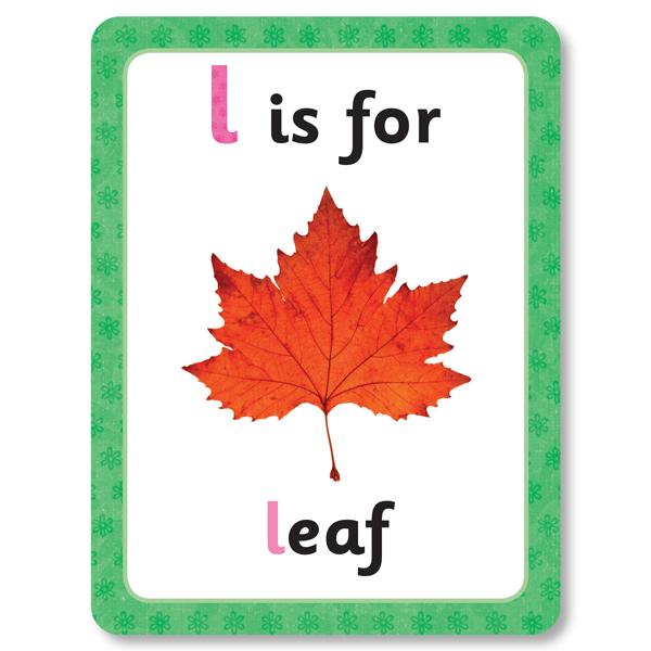 Get Set Go: ABC, 123, Animals, Colour Flashcards Set