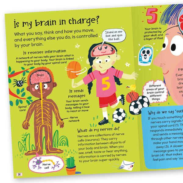 Miles Kelly Curious Questions & Answers About My Body Hardback Book