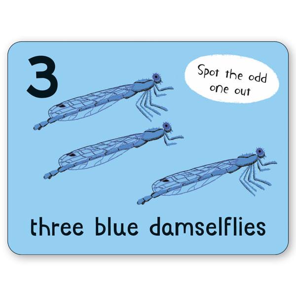 Lots To Spot Flashcards: Bugs!