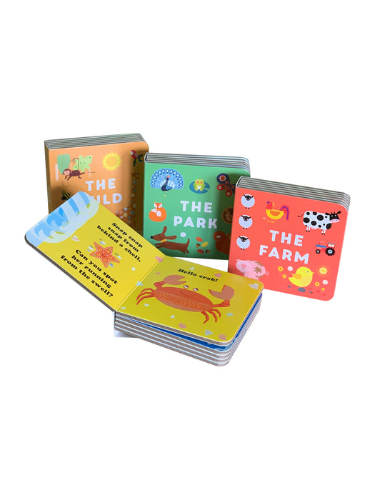 Little Boxes: Animals 4 Board Books Set By Fiona Powers