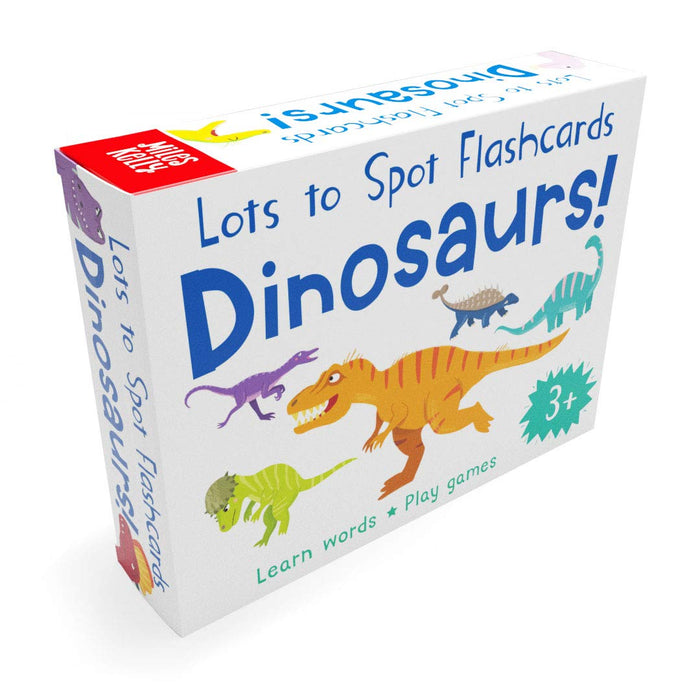 Early Learning EYFS Lots to Spot Flashcards Set, Under the Sea, Bugs, Animals & Dinosaurs